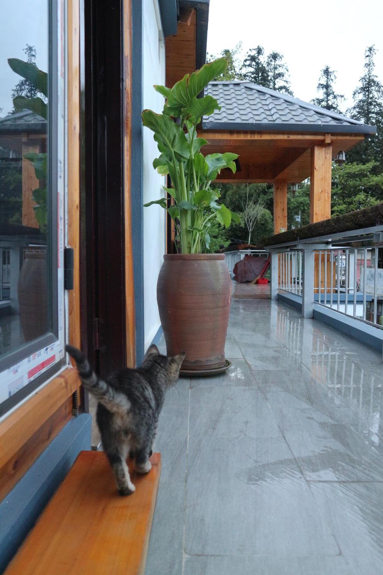 May Nui Homestay Sa Pa Buitenkant foto